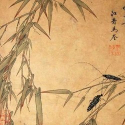 小さな命の重さ