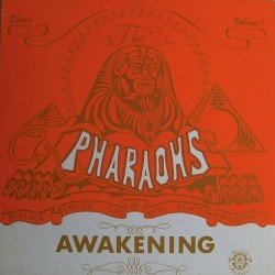 The Awakening