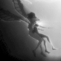 THE OTHER SIDE OF THE GLEAMING YOUTH