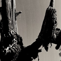 The Spiritual Bonding