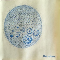 Shins