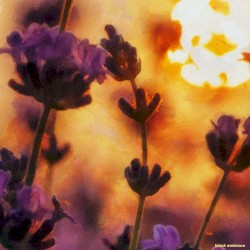 Чарующие россыпи // Отражения тебя