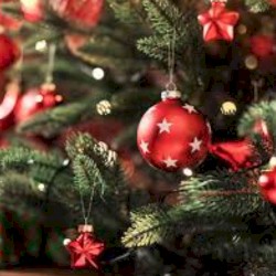 I feel the spirit of christmas already