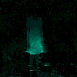 journey to the edge of the night