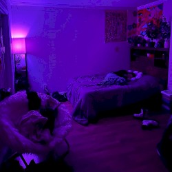 i would wait forever, for u