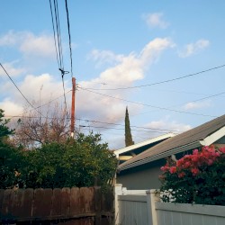 Forgetting How to Live