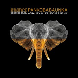 Pankobabaunka (Abra Jey & Lea Socher remix)