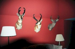 Melancholy And Resistance