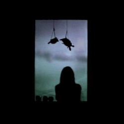 石を縛るロープ [The Rope That Binds the Stone]