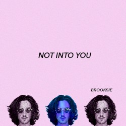 Not Into You