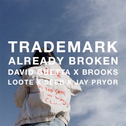 Already Broken (David Guetta X Brooks X Loote X Seeb X Jay Pryor)