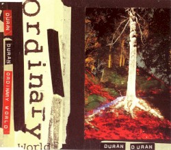 Ordinary World