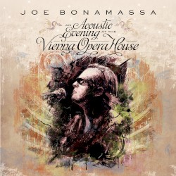 An Acoustic Evening at the Vienna Opera House