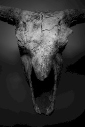 The Distinguished Improviser (Revamped Edition)