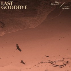 Last Goodbye