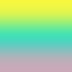 0005