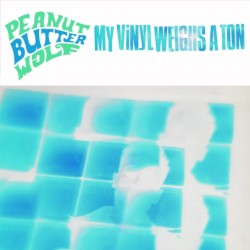 My Vinyl Weighs A Ton (Instrumentals)