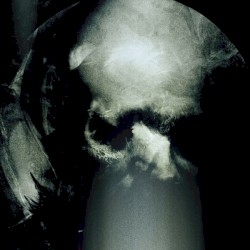 Den förföljdes gryning