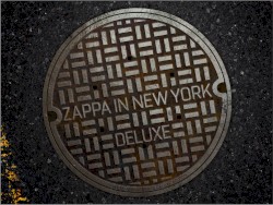 Zappa in New York
