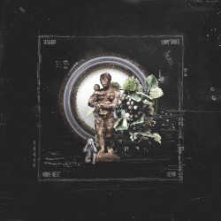 Tiimmy Turner (remix)