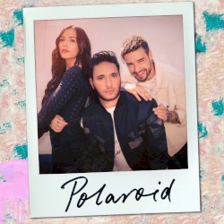 Polaroid
