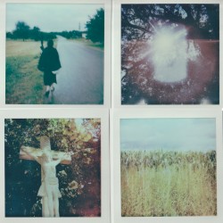 Sehnliches Leiden (Der Delfin)