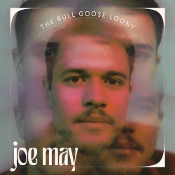 The Bull Goose Loony - Single Version