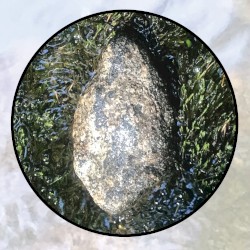 Moonlit Missive #92: 'Stone of White Speckles'