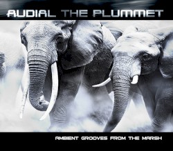 Ambient Grooves From The Marsh