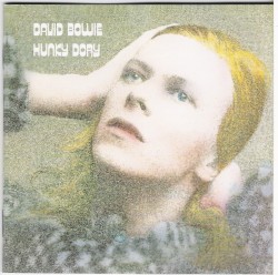 Hunky Dory