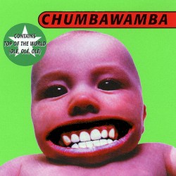 Tubthumper