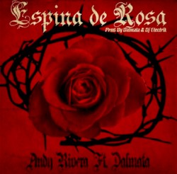 Espina de rosa