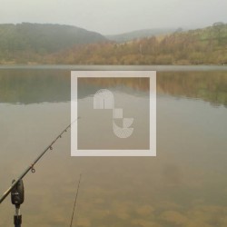 Author of the Twilight