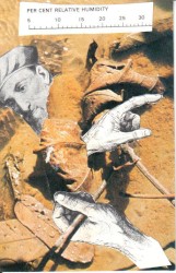 Flexes for Carrieta White Mix-Tape, Vol. 3