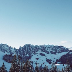 somewhere between sleep and awake