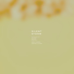 Silent Storm