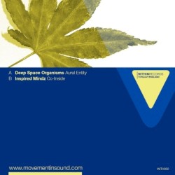 Aural Entity / Co-Inside