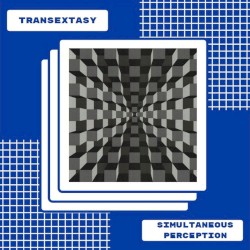 Simultaneous Perception