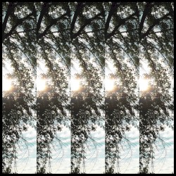 Dialectic of Ignorance