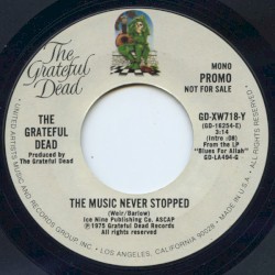 The Music Never Stopped