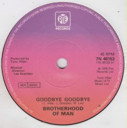 Goodbye Goodbye / Better to Have Loved