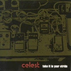 Take It in Your Stride