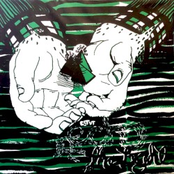 The Echo & The Light