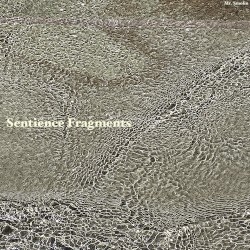 Sentience Fragments