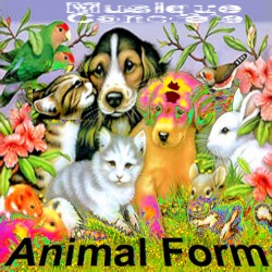 Animal Form