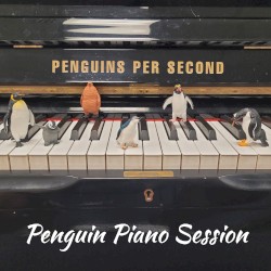 Penguin Piano Session