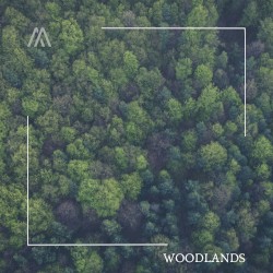 Woodlands