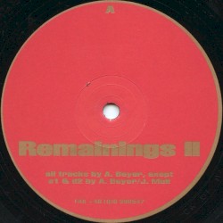Remainings II
