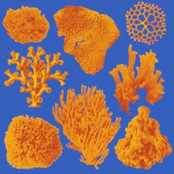 Feeling Mumbled Remixes