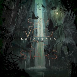 Sky Void of Stars